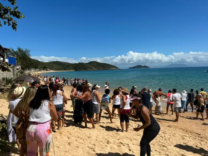 whatsapp image 2026 03 05 at 10.31.05