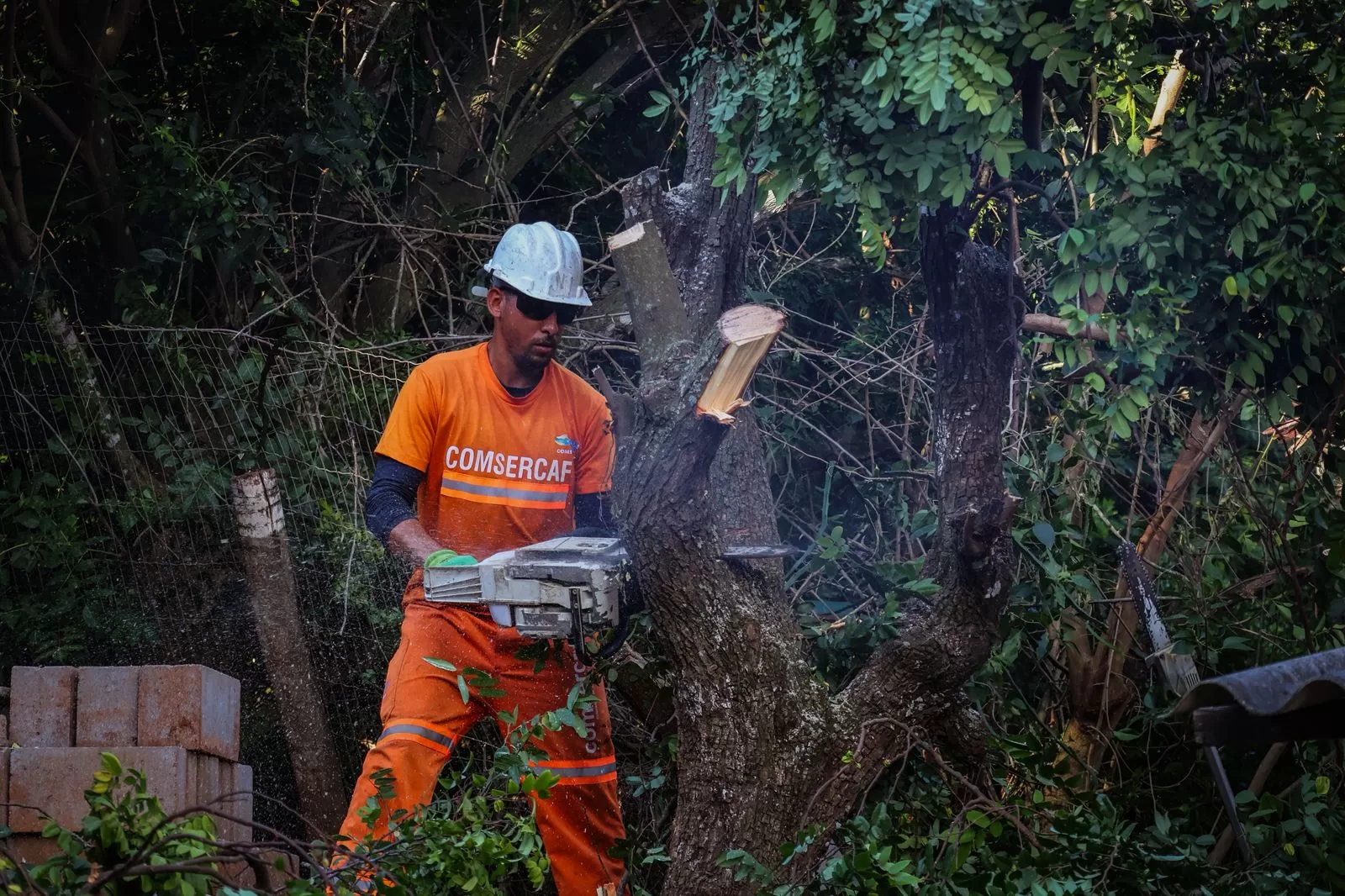 whatsapp image 2026 03 06 at 12.24.30