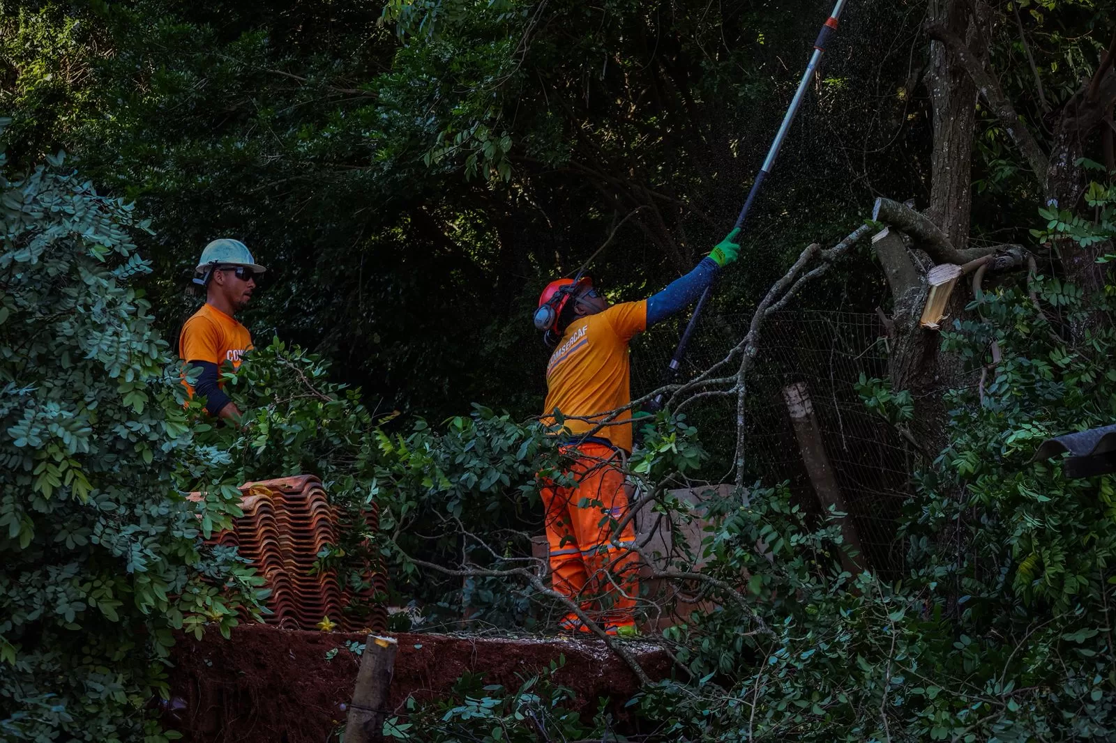 whatsapp image 2026 03 06 at 12.24.32