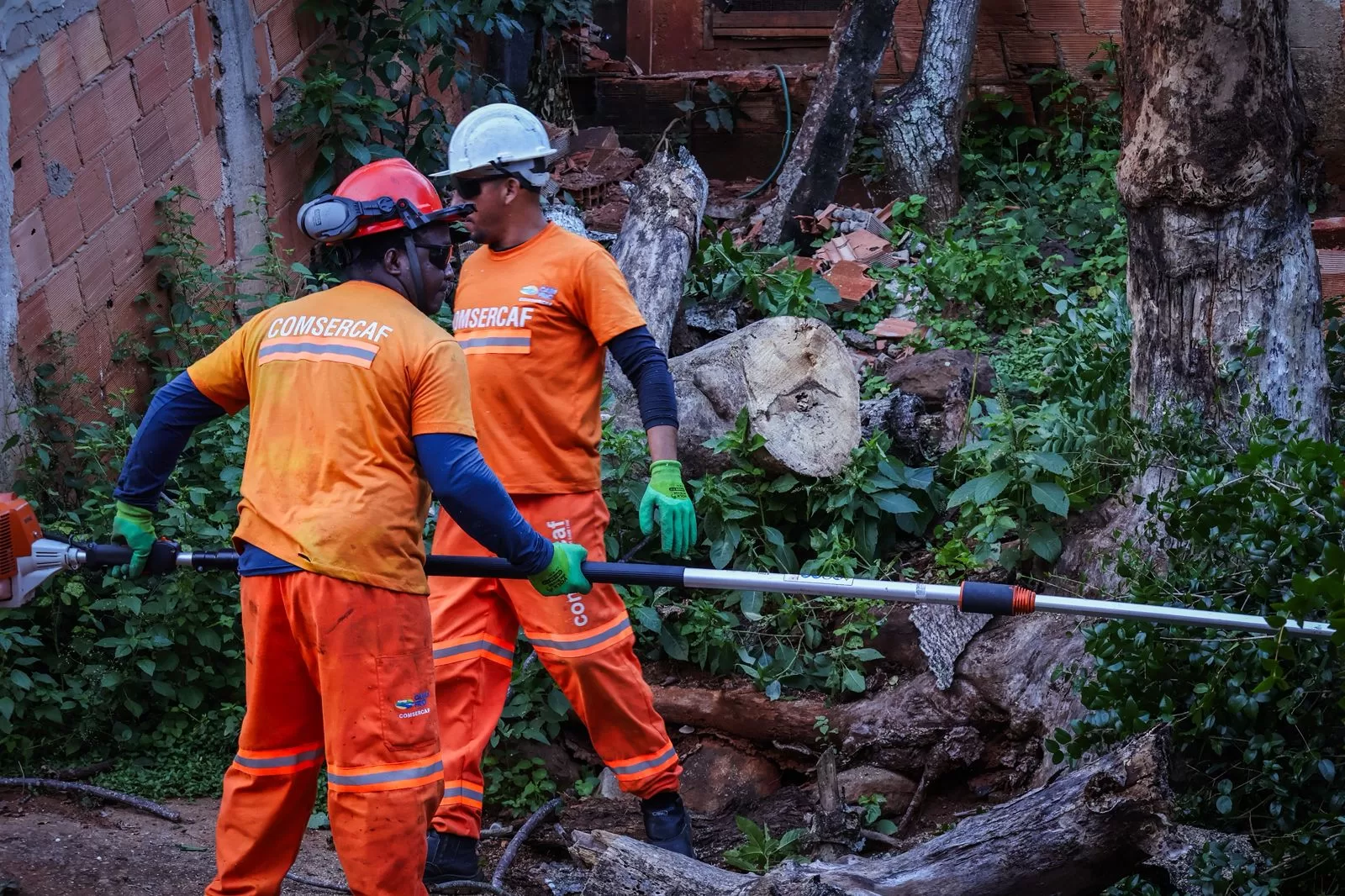 whatsapp image 2026 03 06 at 12.24.35