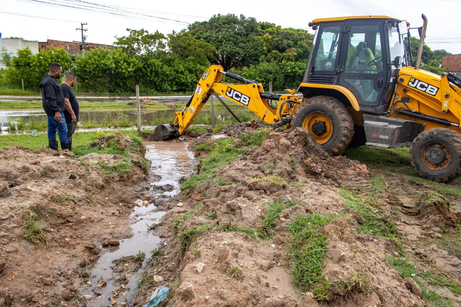 whatsapp image 2026 03 10 at 17.235