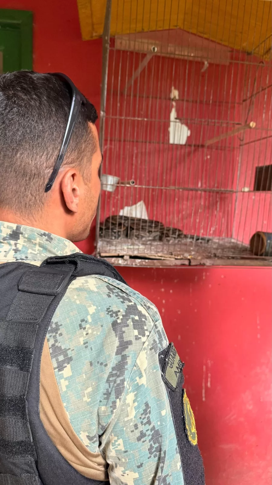 whatsapp image 2026 03 11 at 08.47.29