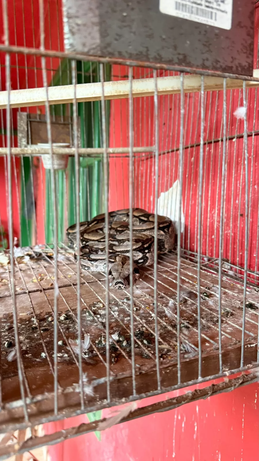 whatsapp image 2026 03 11 at 08.47.30