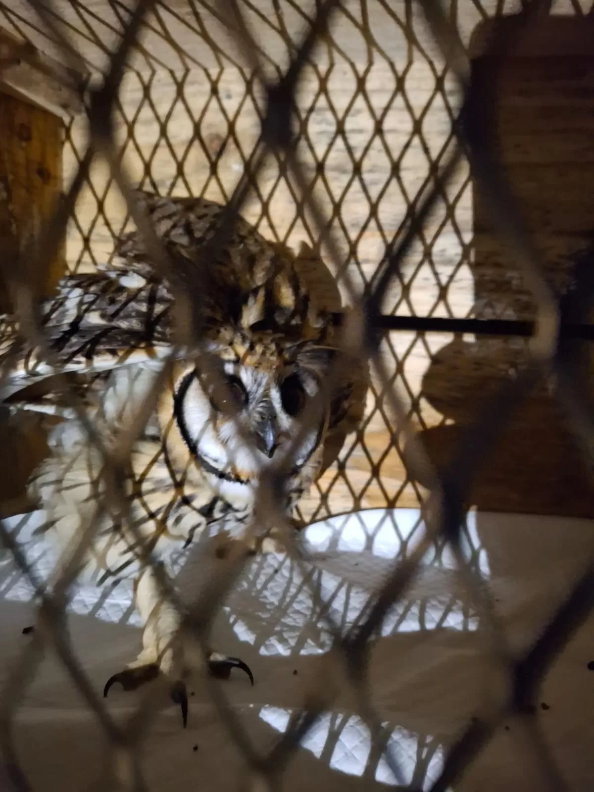 whatsapp image 2026 03 17 at 14.32.42 (1)