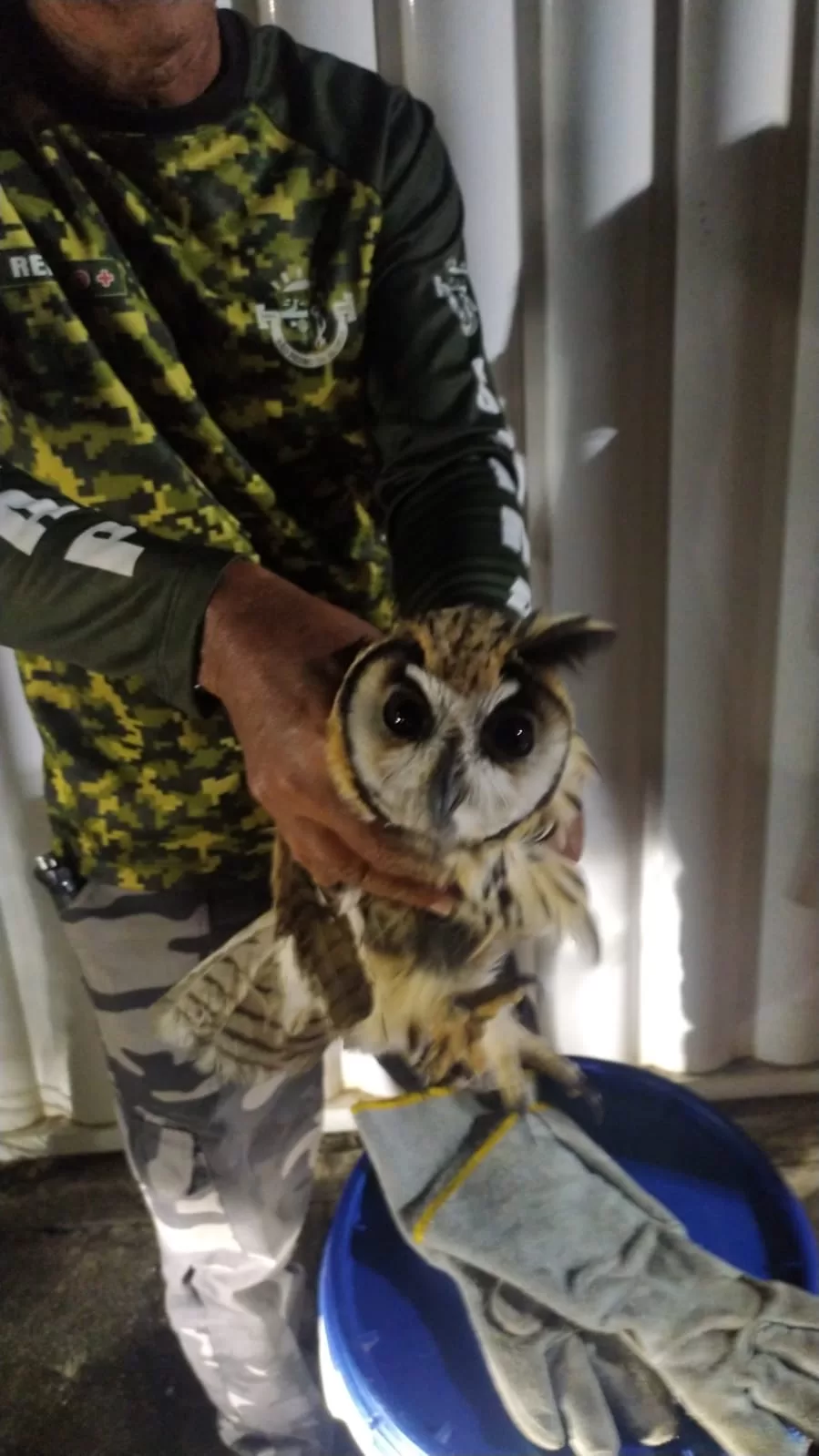 whatsapp image 2026 03 17 at 14.32.42