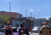 whatsapp image 2026 03 18 at 13.41.27