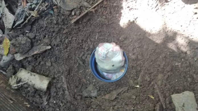 whatsapp image 2026 03 24 at 22.34.46