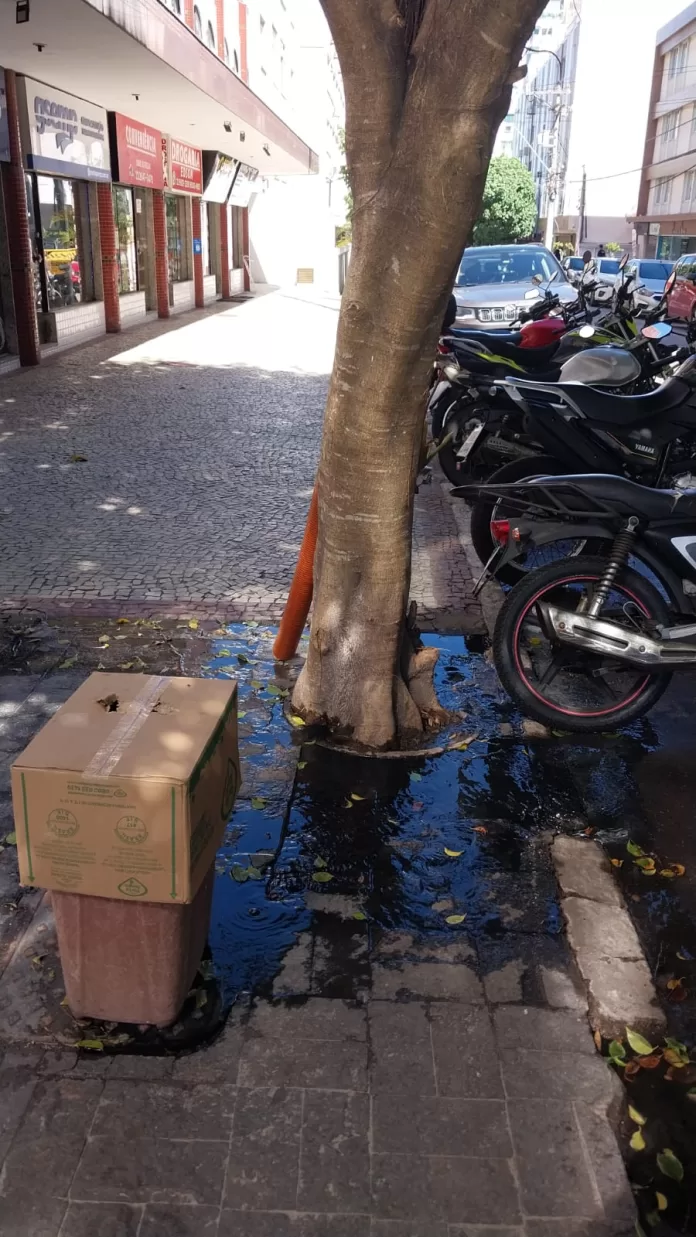 whatsapp image 2026 03 25 at 14.34.14