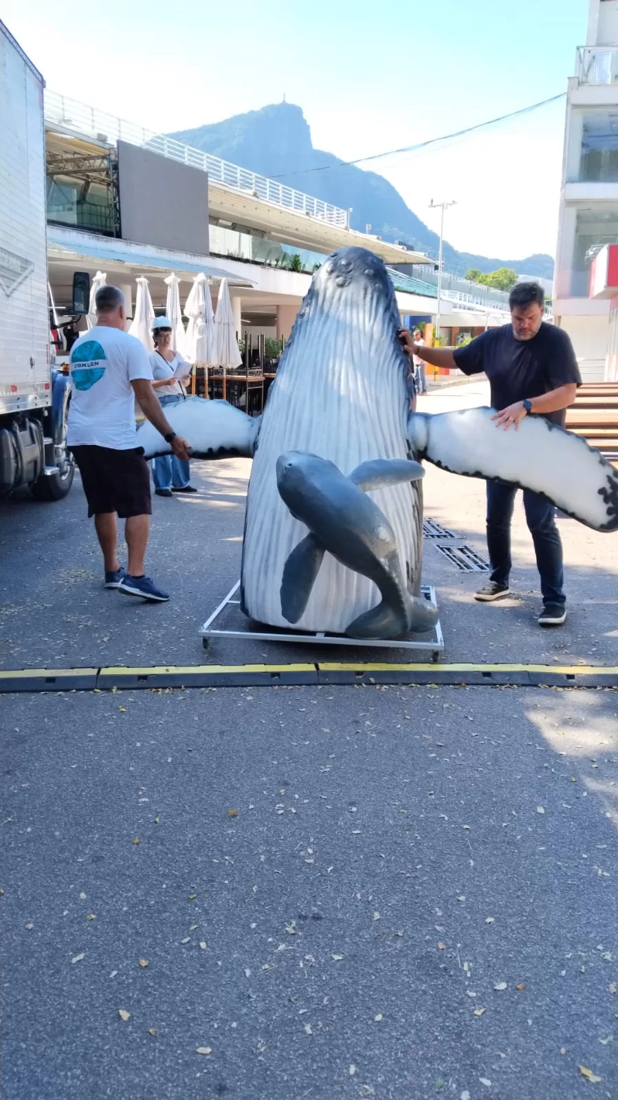 whatsapp image 2026 03 25 at 18.22.53