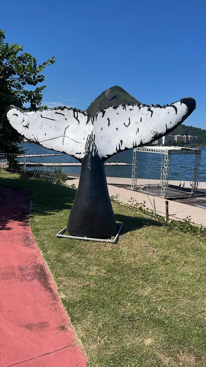 whatsapp image 2026 03 25 at 18.22.54