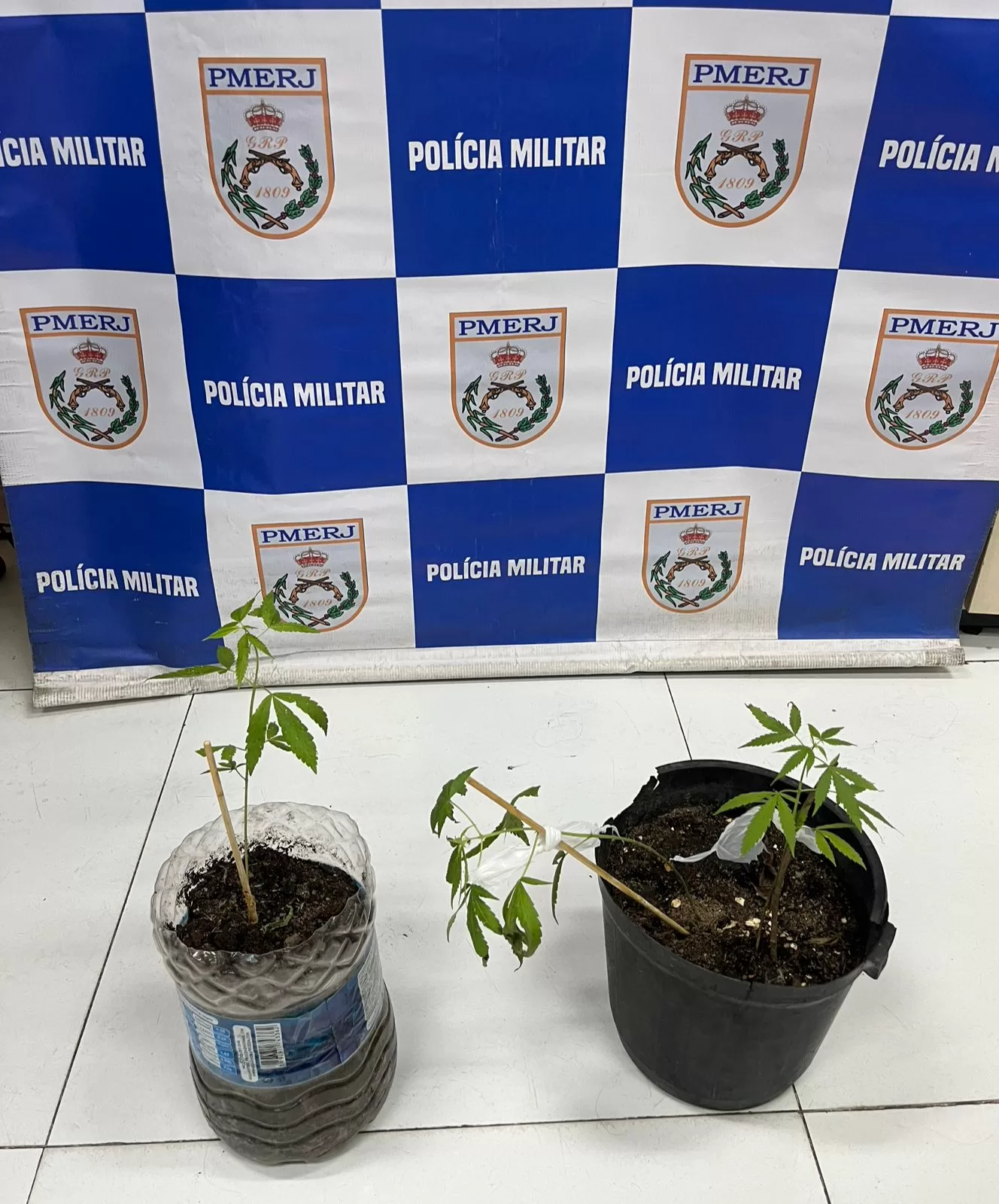 whatsapp image 2026 03 27 at 17.12.47