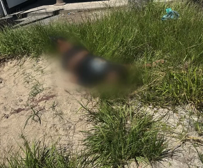 whatsapp image 2026 03 29 at 12.31.26