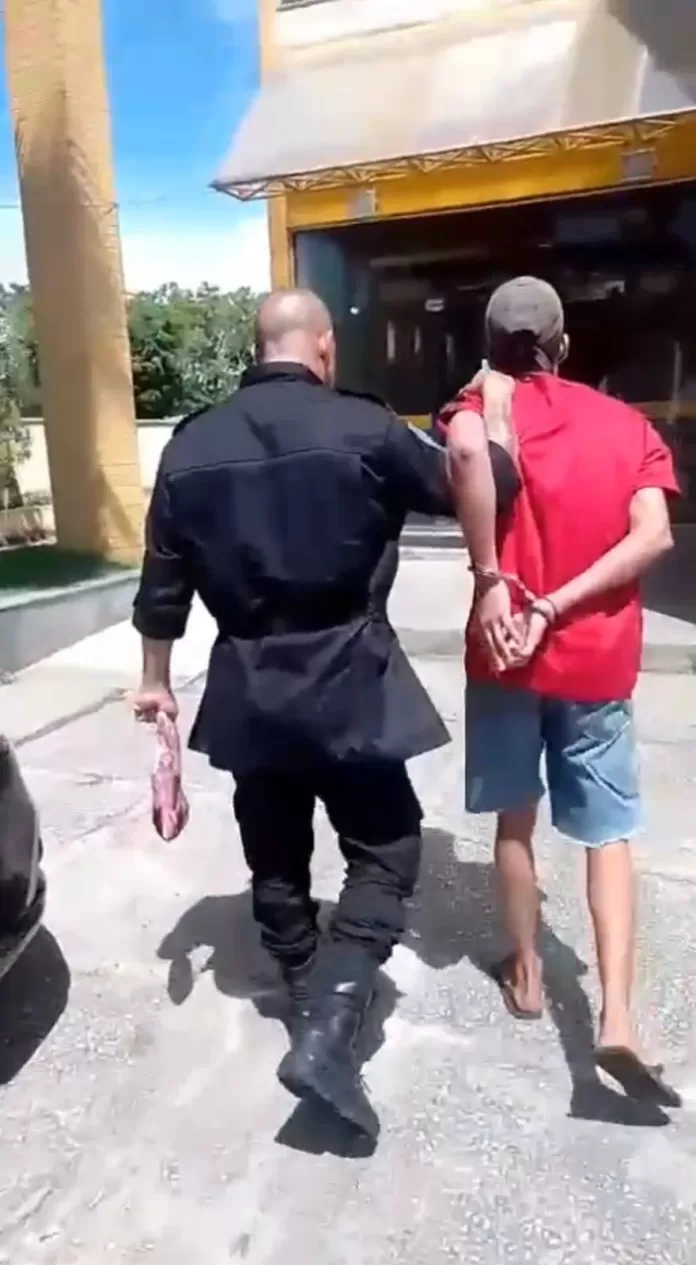 24a1bd11 73a4 4152 8c1e f5526cc04986