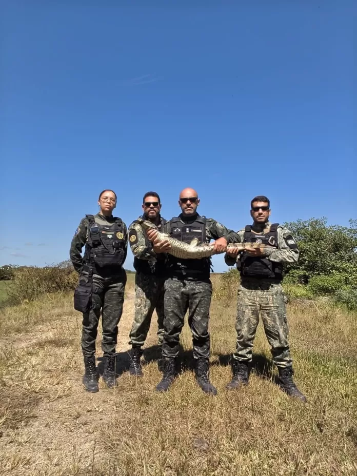 2b9bd1f9 1170 4981 9422 1020290d31bd