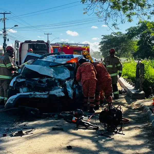 45a63254 0a17 429a bbf2 1c918046548b