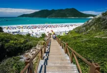 4vizzb6swxarym9j7p13547jd