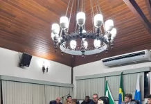audiencia publica c