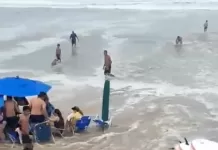 captura de tela 2026 04 11 155241