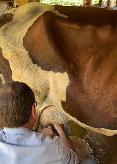 captura de tela 2026 04 20 175239