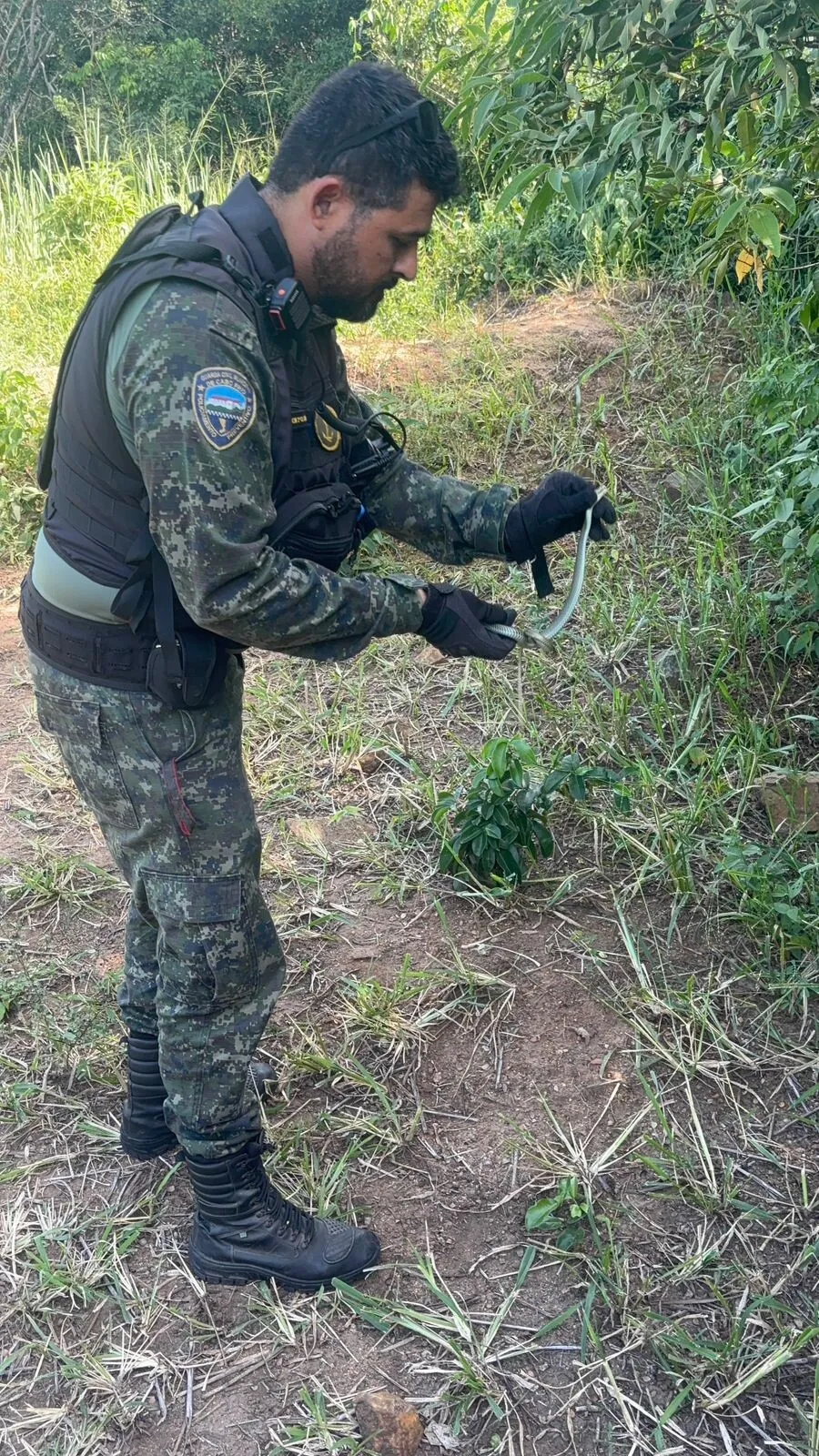 e50376f1 5849 4982 a11a cb523bf0f18a