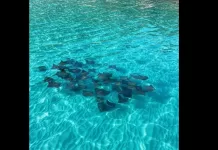 image 2026 04 28t132829.630