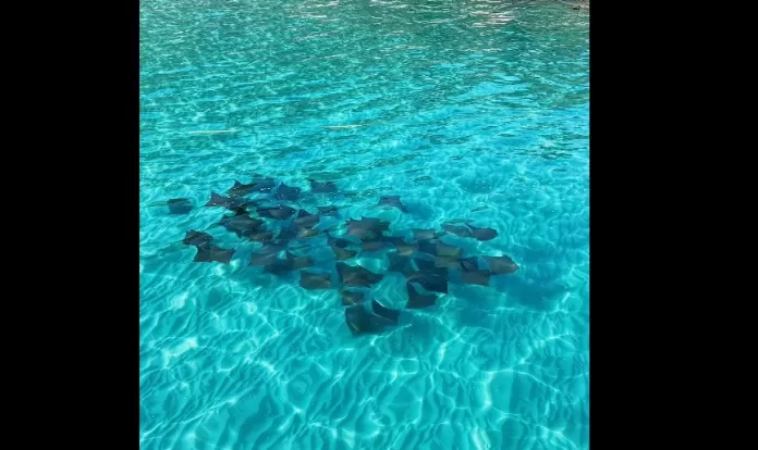 image 2026 04 28t132829.630