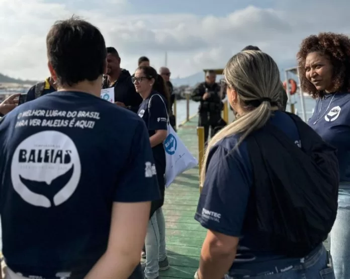 img 20260406 wa0263(1)