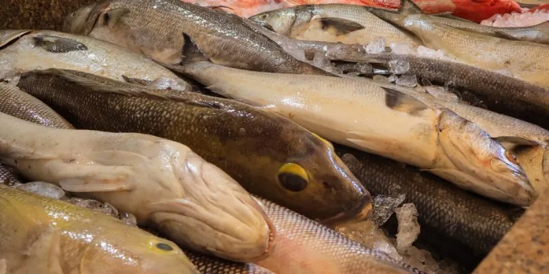 img 4467 rlfe4oasu5d8sju78i2xnedn8y6lsdbxgbynlyk42o