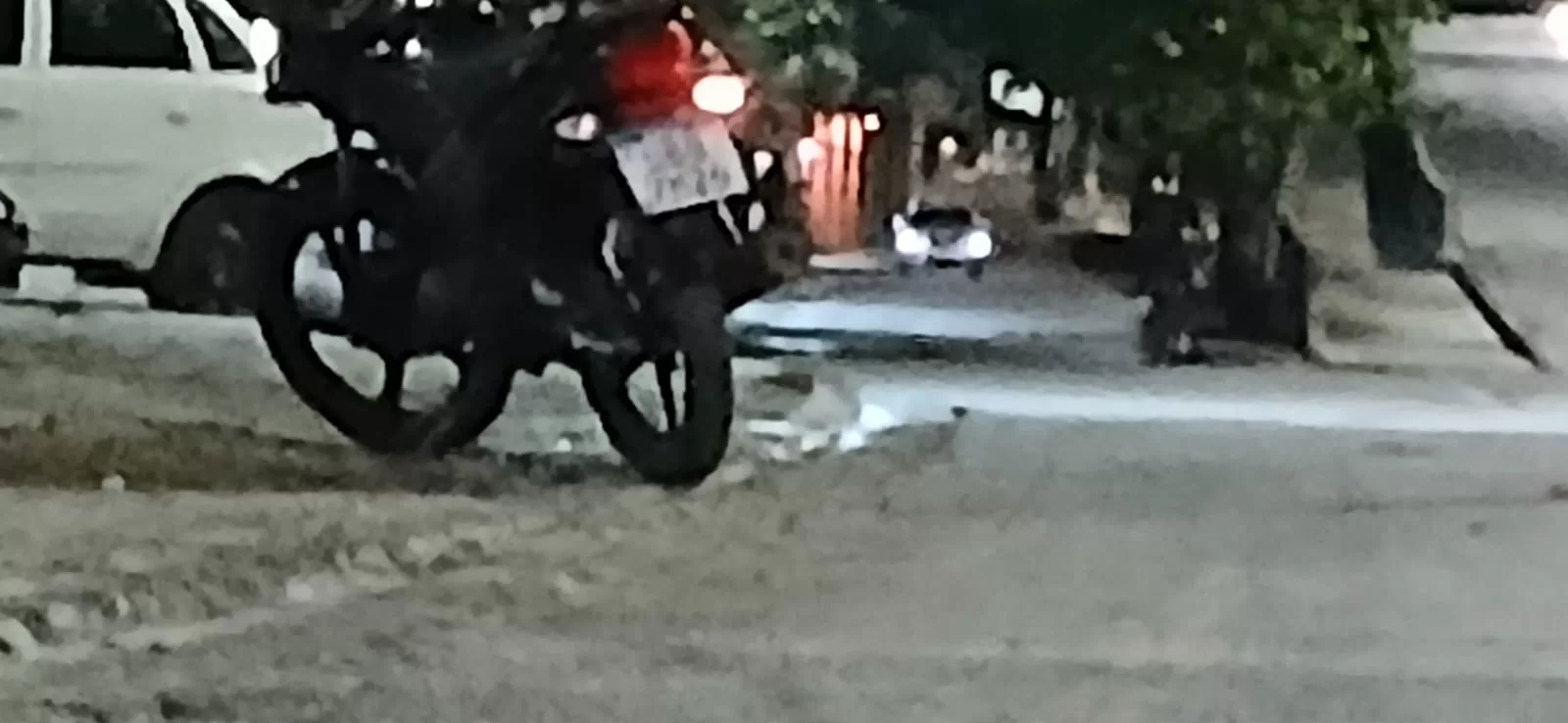 whatsapp image 2026 03 31 at 21.50.34