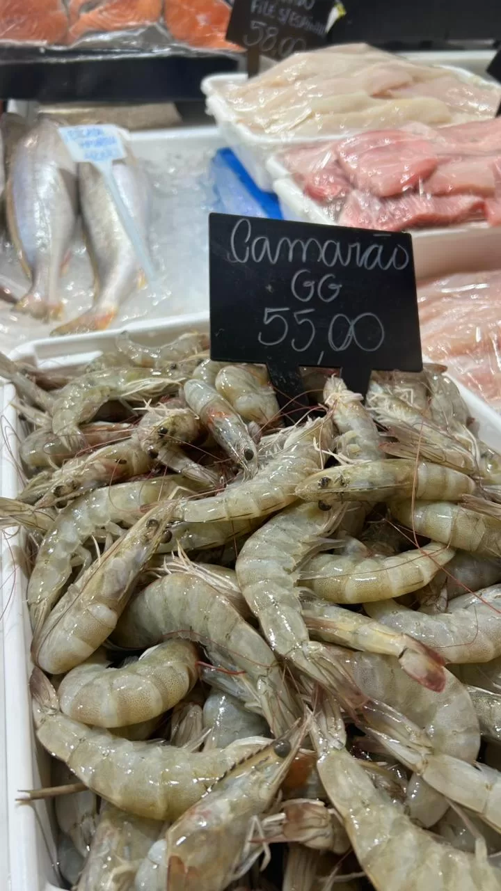 whatsapp image 2026 04 01 at 18.38.03 (1)