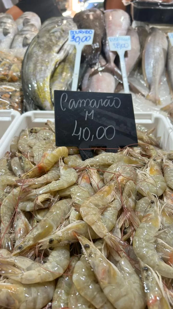 whatsapp image 2026 04 01 at 18.38.03 (2)