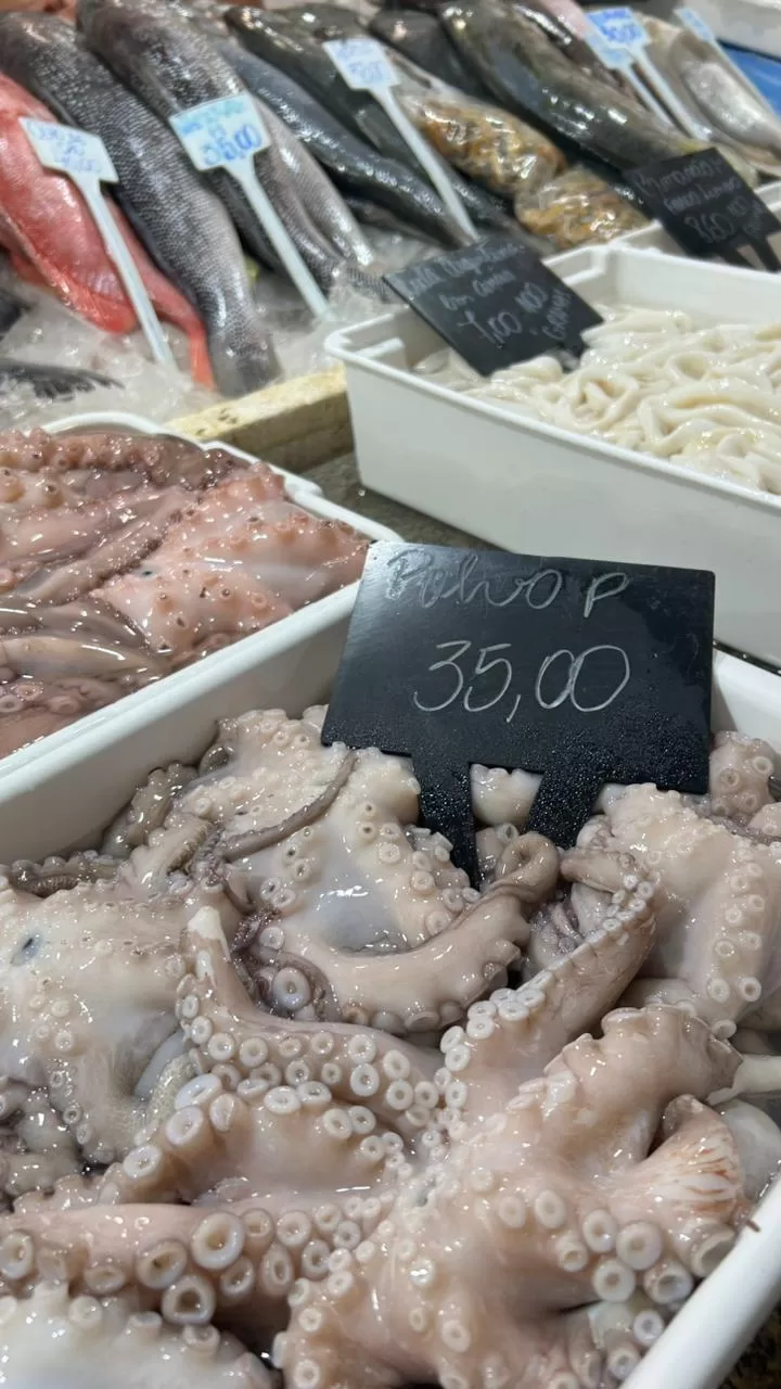 whatsapp image 2026 04 01 at 18.38.03 (3)