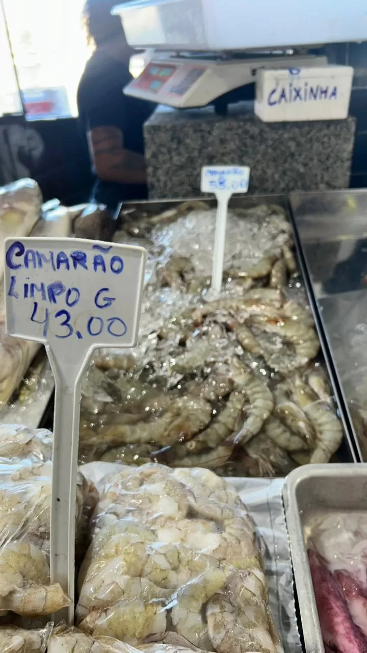 whatsapp image 2026 04 01 at 18.38.03