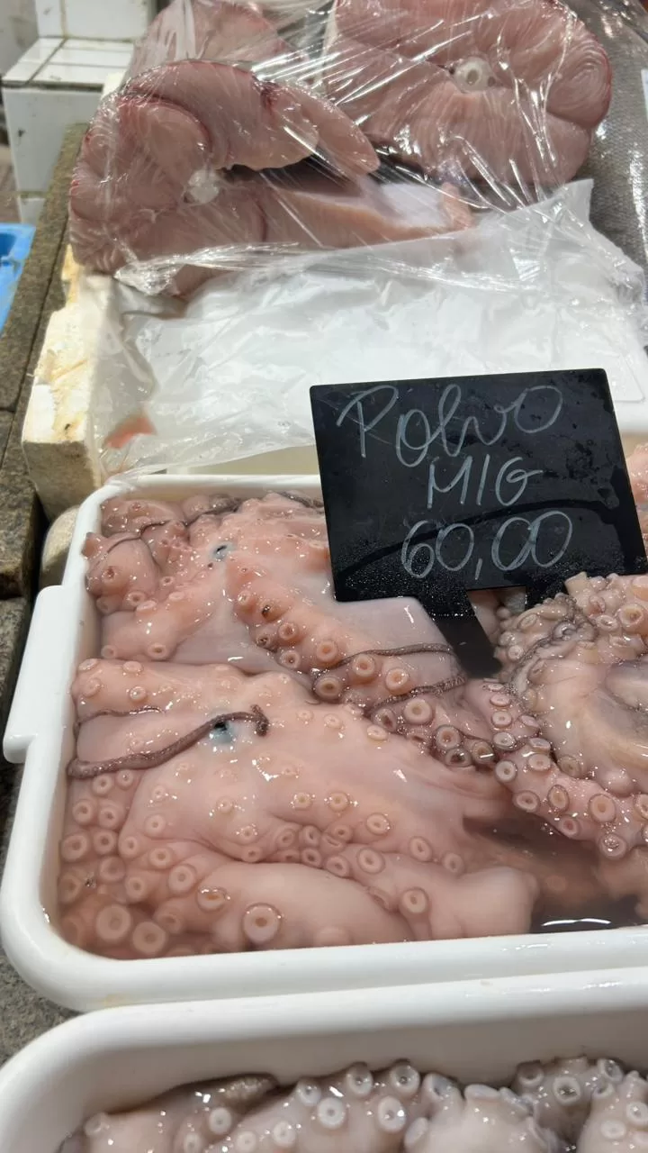 whatsapp image 2026 04 01 at 18.38.04 (1)