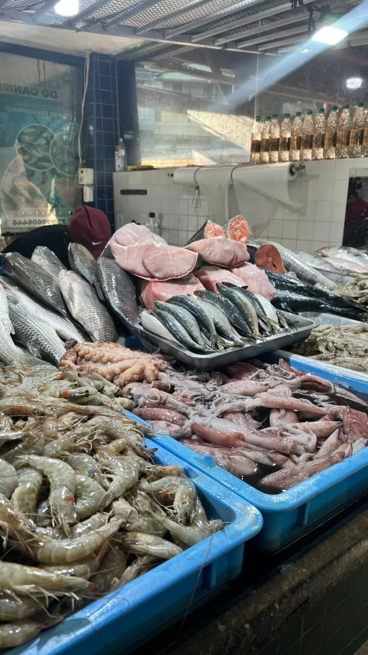 whatsapp image 2026 04 01 at 18.38.04 (3)