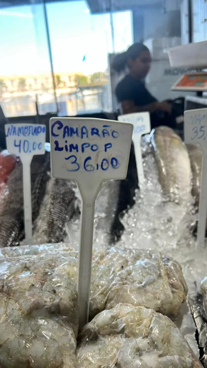 whatsapp image 2026 04 01 at 18.38.05 (2)