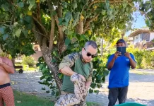 whatsapp image 2026 04 08 at 09.39.40