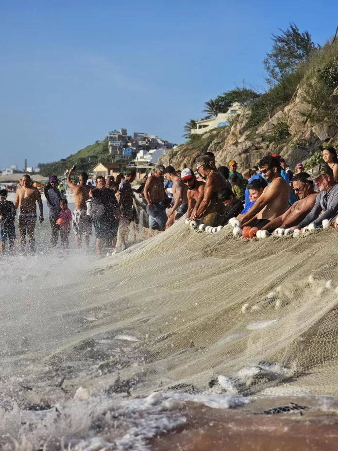 whatsapp image 2026 04 09 at 14.30.30 (1)