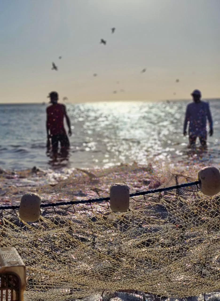 whatsapp image 2026 04 09 at 14.30.30