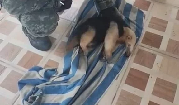 whatsapp image 2026 04 11 at 10.23.07 (1)