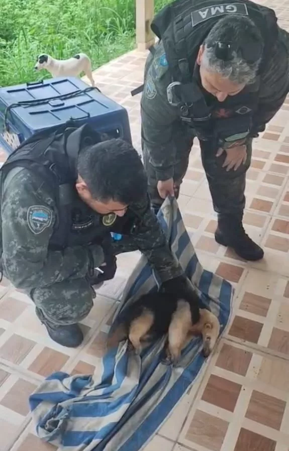 whatsapp image 2026 04 11 at 10.23.07 (2)