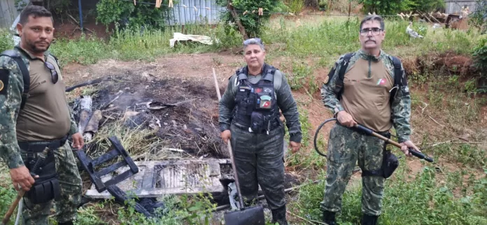 whatsapp image 2026 04 11 at 10.23.08