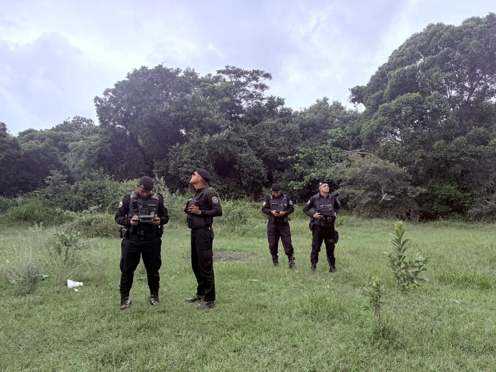 whatsapp image 2026 04 11 at 10.45.13 (3)