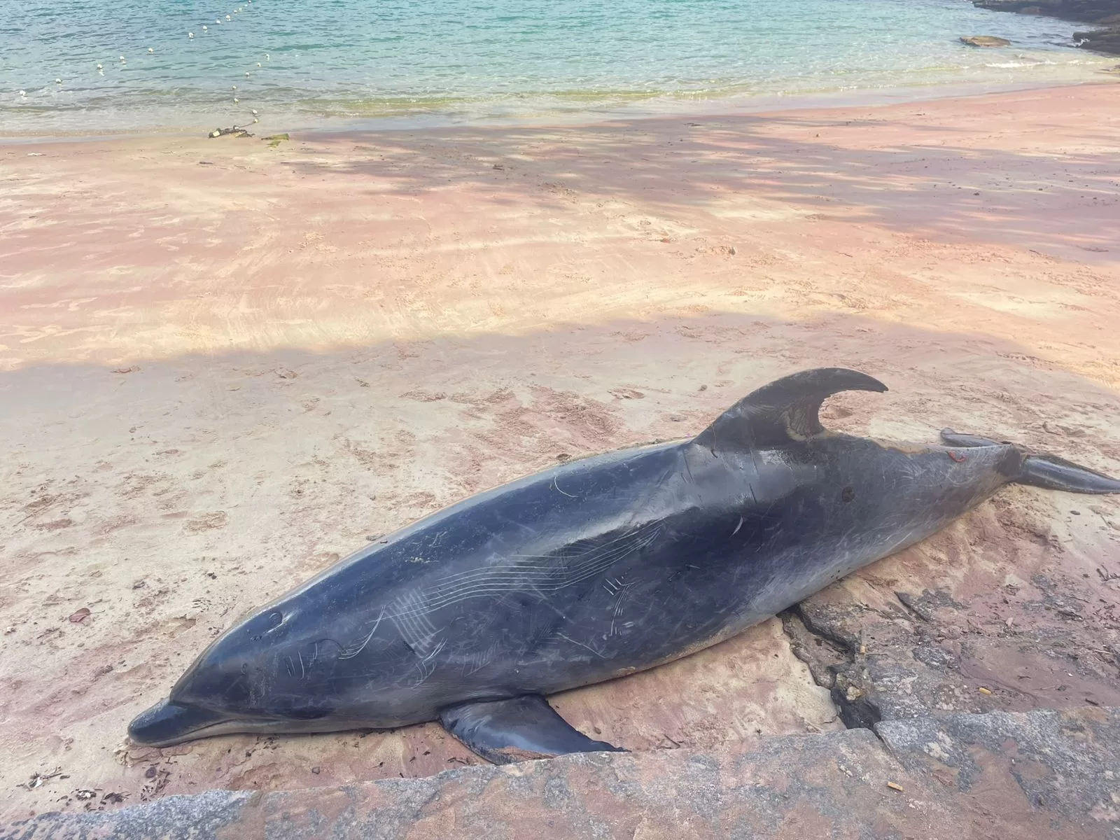 whatsapp image 2026 04 16 at 17.44.37 (1)