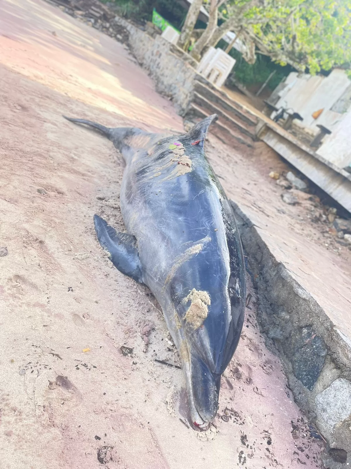 whatsapp image 2026 04 16 at 17.44.37