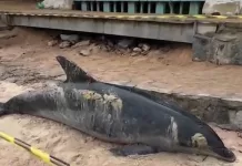 whatsapp image 2026 04 16 at 17.44.38 (1)