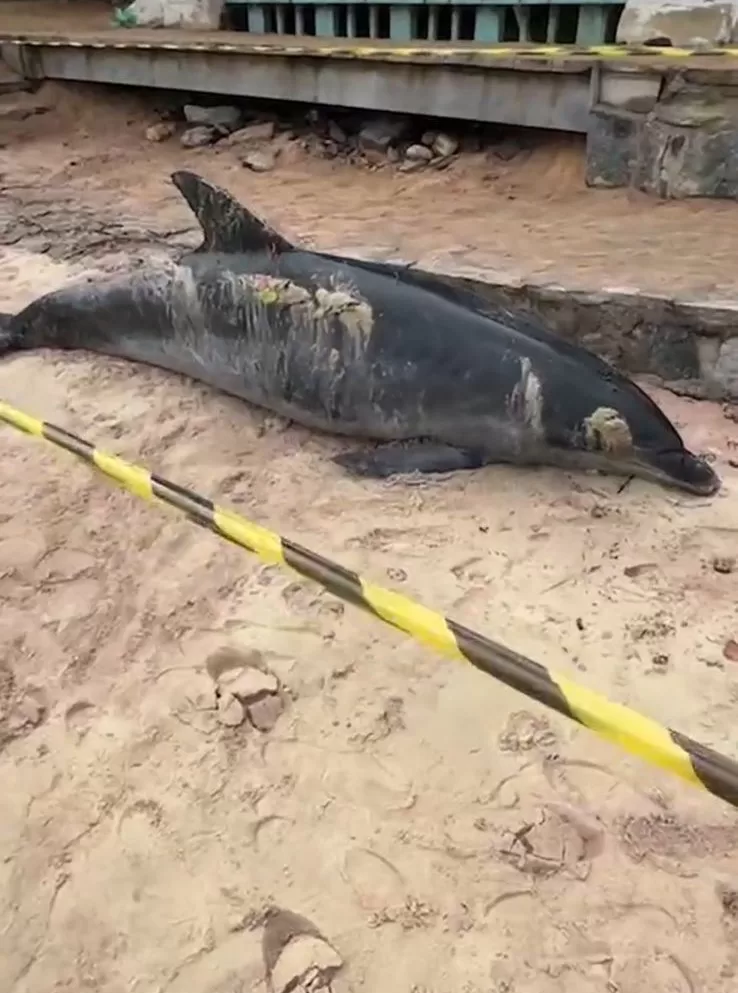 whatsapp image 2026 04 16 at 17.44.38 (1)