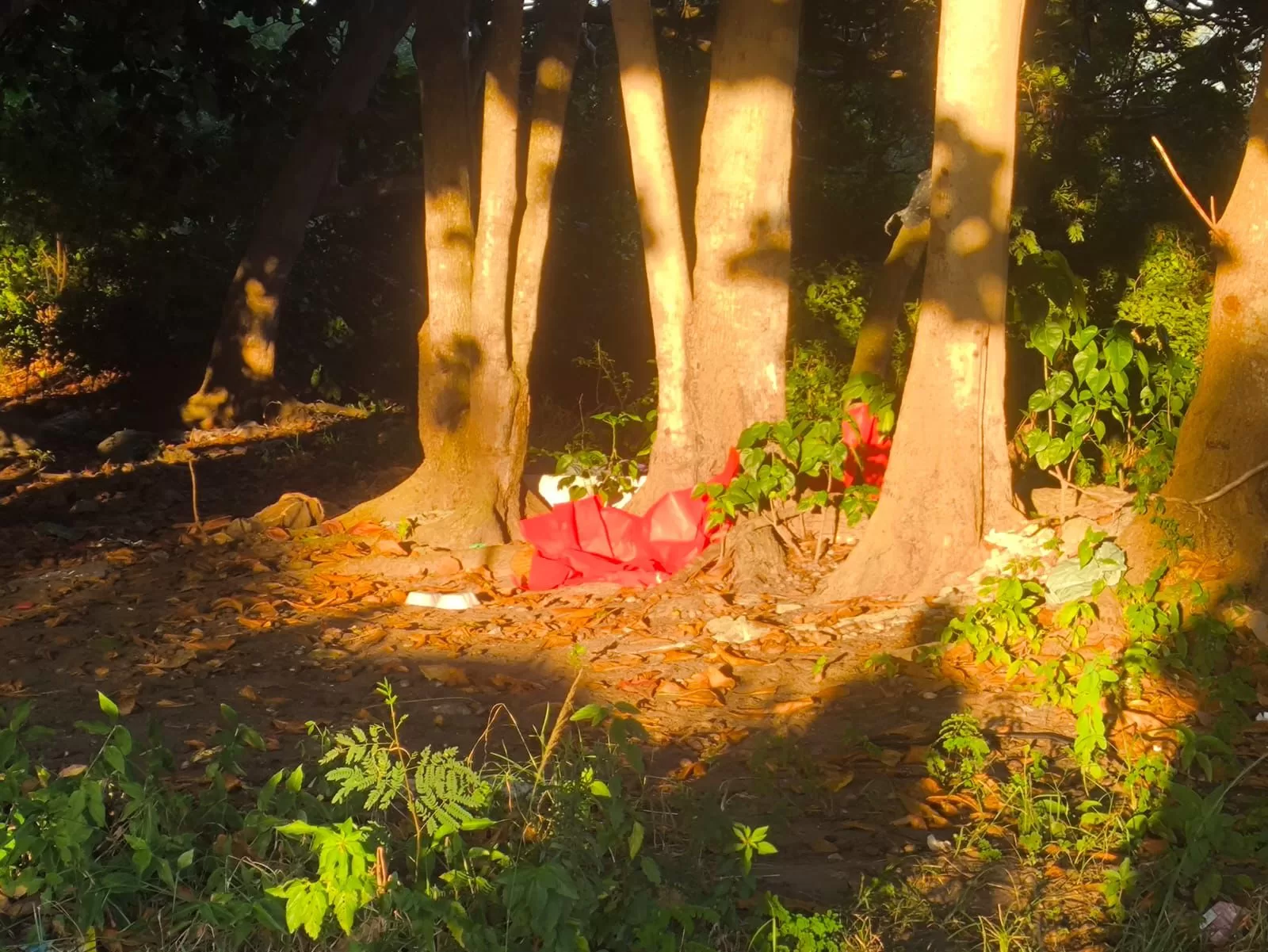 whatsapp image 2026 04 18 at 10.37.28 (2)