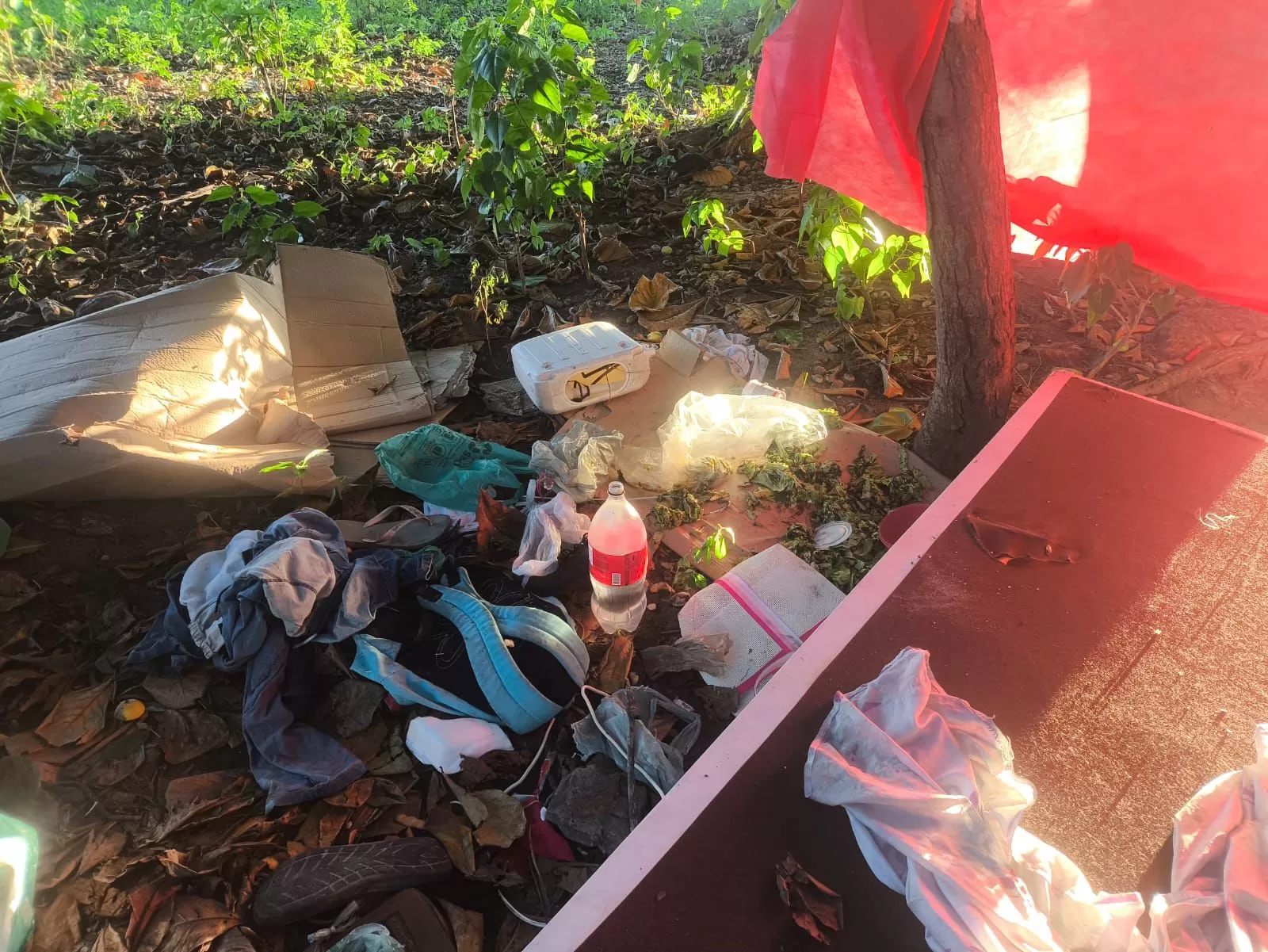 whatsapp image 2026 04 18 at 10.37.28 (3)