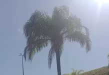 whatsapp image 2026 04 18 at 12.15.18